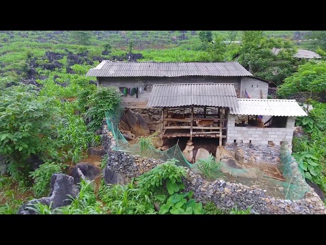 Tswb Yaj Lub Zog Zoo Li No Xwb / Neej Hmoob Qaum Teb