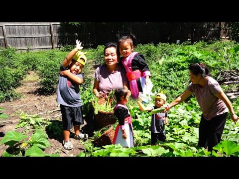 Hmong American Garden/Hmoob meskas De Ntsis Taub Thiab De Dib
