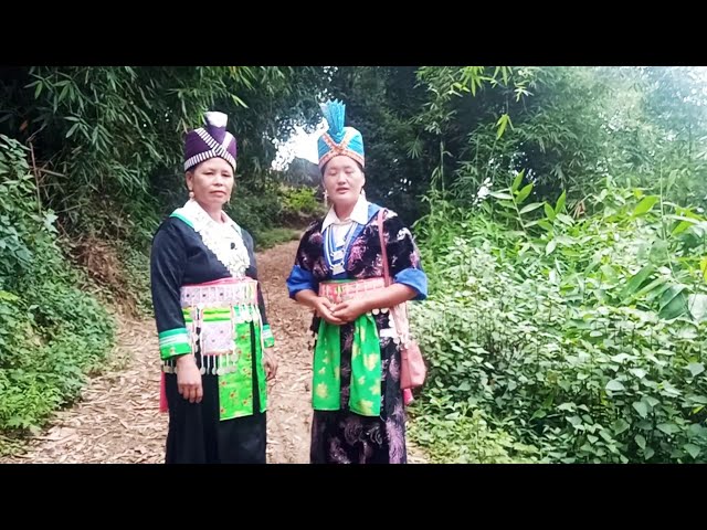 Kwv txhiaj viv cnau tsis yog niam txiv ib plab yug lo yeej sib hlub tau hai tau zoo kawg li