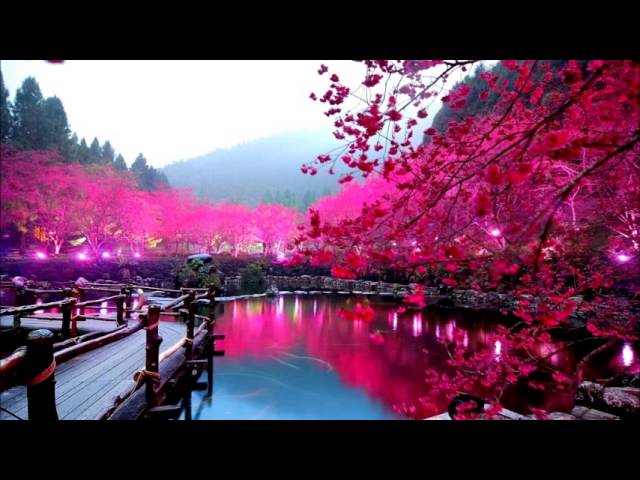 Chinese Hmong Music