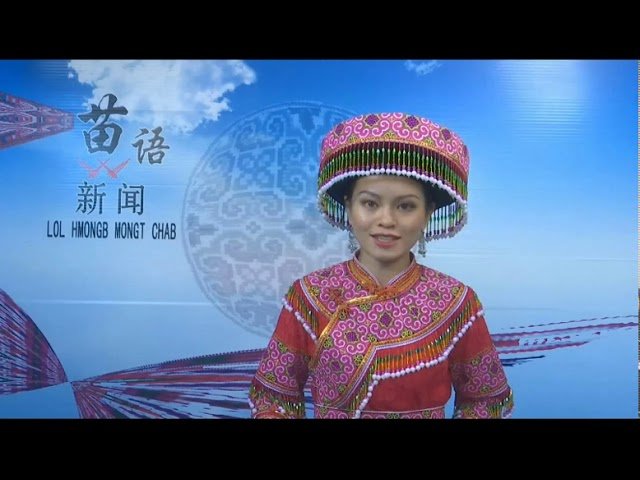 Paj Tawg Moo Tshab 8/4/2020