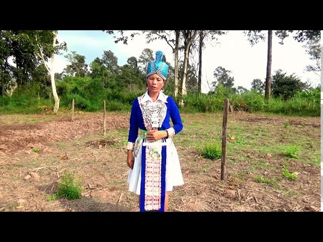 Kwv Txhiaj Qhuas Hmoob Tej Tub Zoo Nraug  Maiv Lis Tsab