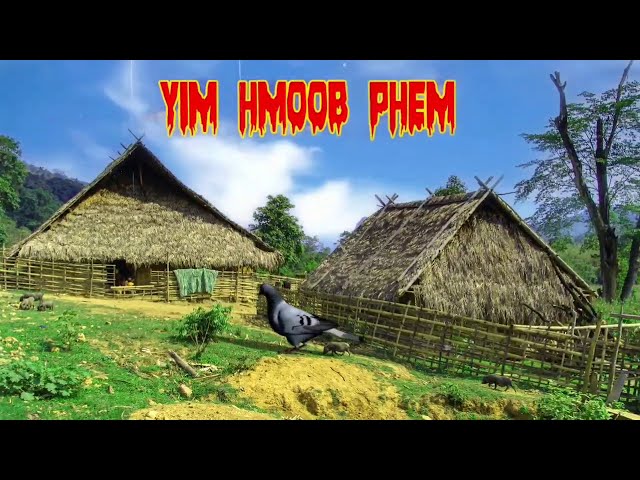 Yim Hmoob Coj Phem Lim Hiam 08/11/2020