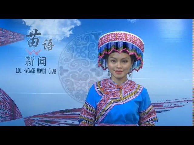 Paj Tawg Moo Tshab 8/11/2020