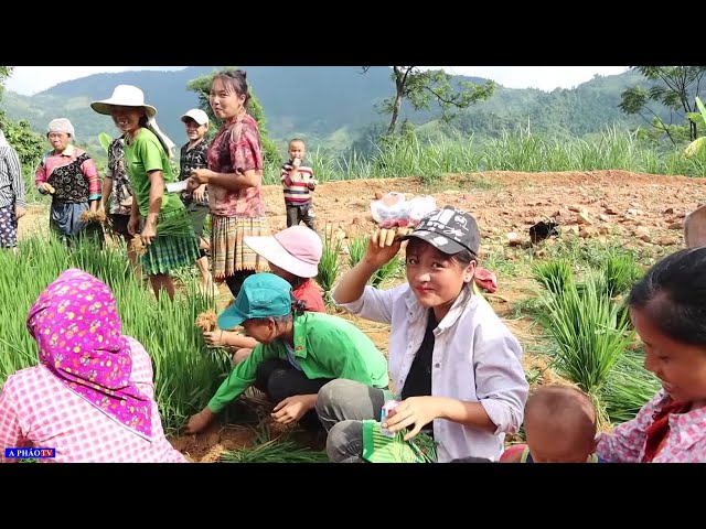 Cô dâu 14 tuổi - Người Hmong sao họ dựng vợ gả chồng sớm vậy?