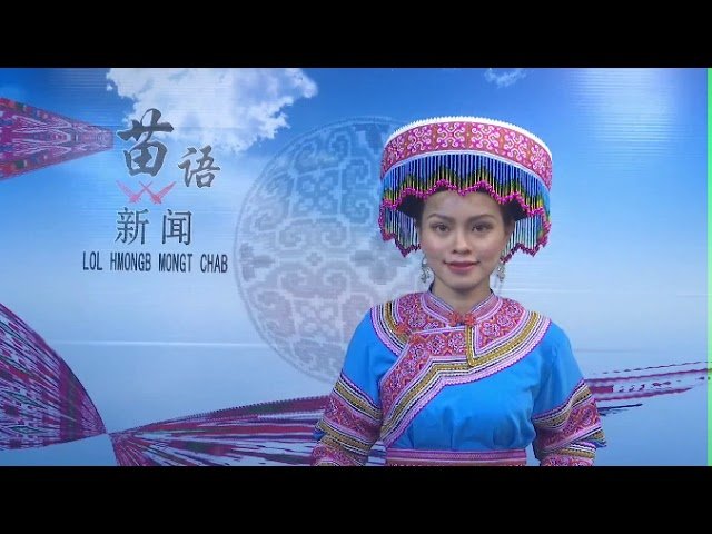 8/20/2020   Paj Tawg Moo Tshab