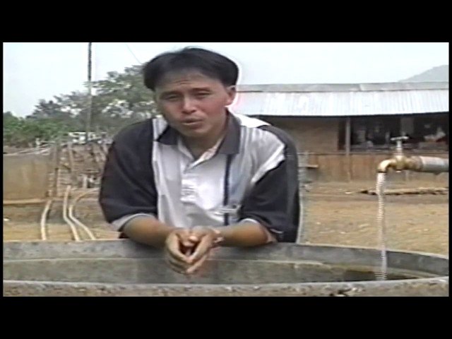 Luj Yaj – Niam Hlob Okay – Hmong Classic Song