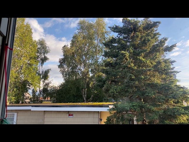 August 27, 2020 Kwv txhiaj qhiav txog neej neeg ntiaj teb cem siv yis ntuj hais tias yog dag xwb no?