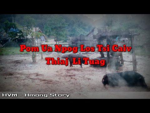 Hmong story - Twb pom ua npog los tsi caiv thiaj tuag 08-30-2020