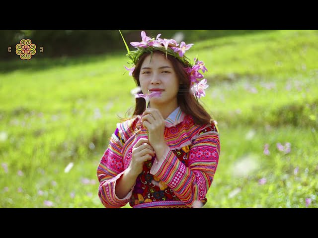 Lub Neej Nco Koj    日夜思念