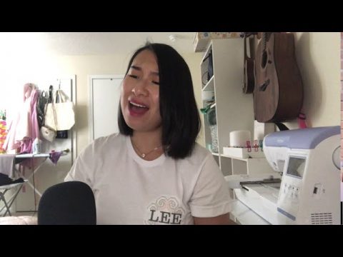 Reflection (Hmong) Cover by Angel Lee