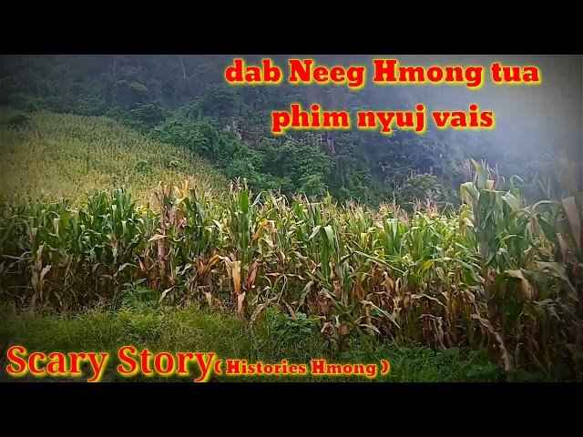 dab Neeg Hmong tua phim nyuj vais. 19/9/2020