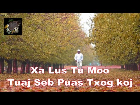 Xa Lus Tu Moo Tuaj Puas Txog Koj (The Last Message)