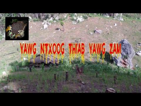 Yawg Ntxoog Thiab Yawg Zam (Hmong Scary Story)