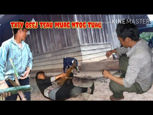 Hmong Story-txiv qeej tsau muag ntog tuag 13-10-2020