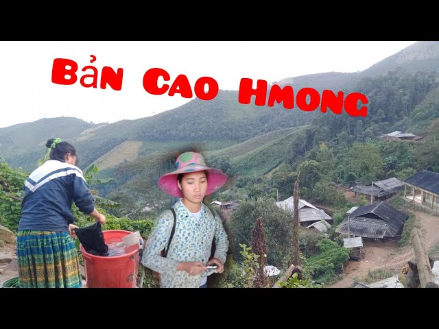 Phượt Lên Bản Hmong | (Tập 1) Buổi chiều miền núi | DT Thái VN