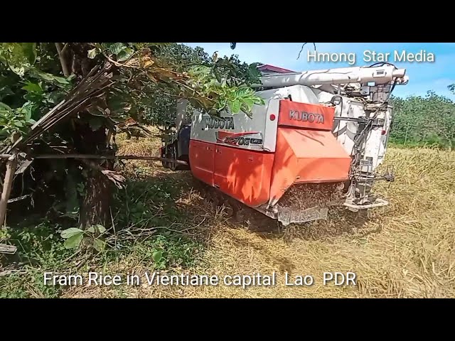 Hmong bamboo flat at the Fram Rice