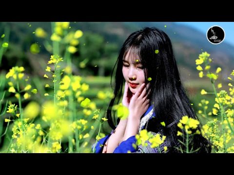 เพลงม้งเพราะๆ2020 (hmong music collection 1M view)