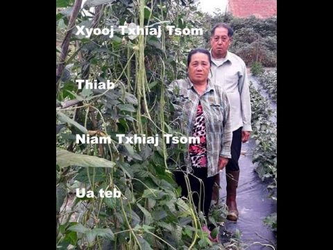 hmong fab kis ua teb 3 - Xyooj Txhiaj Tsom thiab niam Txhiaj Tsom (FRANCE)