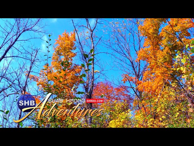 SUAB HMONG ADVENTURES:  (4K) Caij Nplooj Ntoos Zeeg nyob teb chaws Meskas xyoo 2020