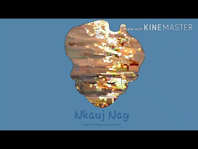 Nkauj Nag  original song by scetcher6