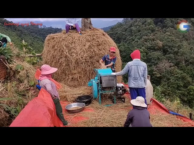 Hmong hmong xvun3 ພະຈິກ 2020