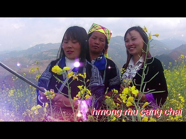nkauj hmoob zoo nkauj 2020 – suab nkauj hmoob leeg – hmong mu cang chai