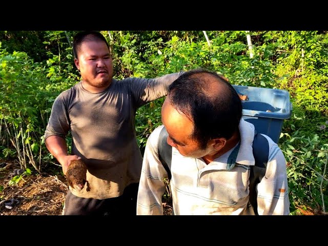 D’Indochine à la Guyane, les Hmong ont trouvé leur terre