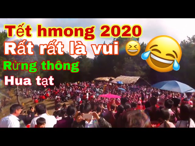 Tết hmong 2020 rừng thông hua tạt rất rất là vui Tết hmong 2020