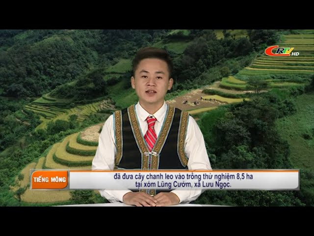 Truyền hình tiếng Mông ngày 18/11/2020 – Thời sự Cao Bằng
