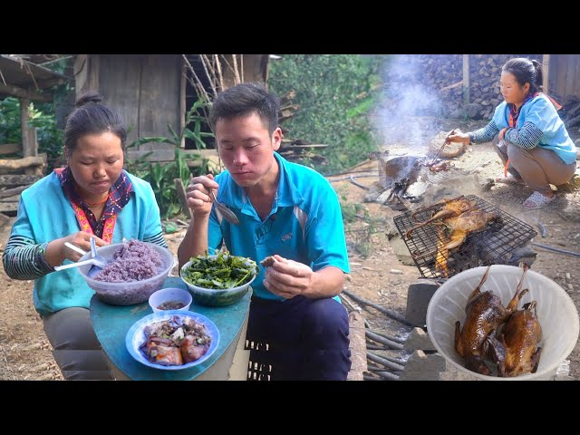 Hmong Life Txhiab Nquab Noj Su「November 19, 2020」