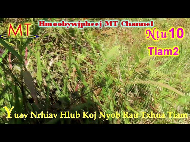 Part#10 :Tiam2″ Yuav Nrhiav Hlub Koj Nyob Rau Txhua Tiam”(Hmong Love Story)19/11/2020
