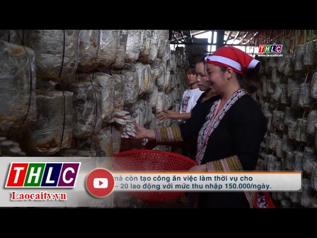 Phụ nữ và cuộc sống tiếng Mông (26/11/2020) | THLC