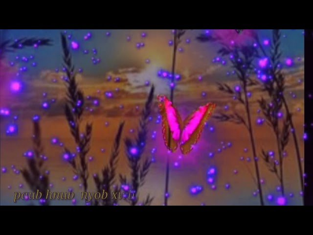 Hmong new song ( suab nkauj kho suab ) paub hnub nyob xwb tsi paub hnub tuag & nkauj tawm  2020_2021