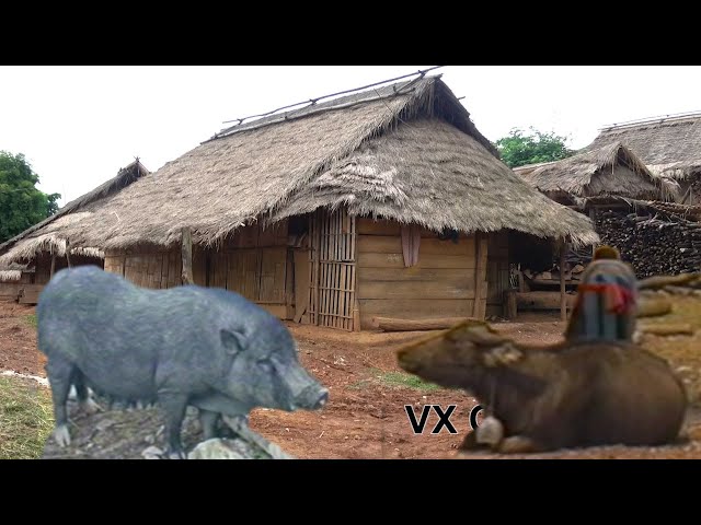 Hmong Toj Siab Zej Zog / Asian Village 2020