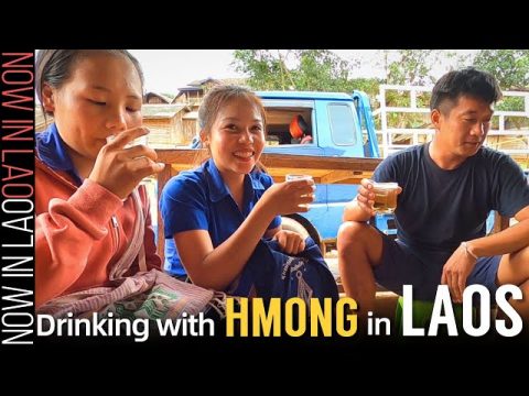 HMONG PEOPLE at Their BEST! | Hmong Food Hmong Drink Hmong Friends ❤ Now in Lao 2020