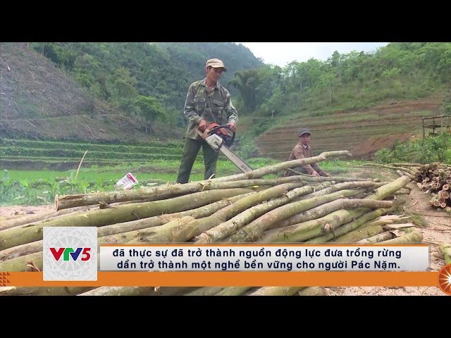 [TIẾNG MÔNG] PHÁT TRIỂN KINH TẾ RỪNG Ở BẮC KẠN | VTV5