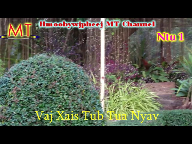 Part:1 “Vaj Xais Tub Tua Nyav”(Hmong Love Story)28/12/2020