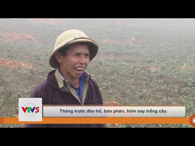 [TIẾNG MÔNG] SI MA CAI TẬP TRUNG PHÁT TRIỂN CÂY ĂN QUẢ ÔN ĐỚI | VTV5