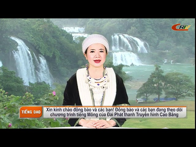 (Củ chuối) CBTV Cao Bằng – Tiếng Mông hay tiếng Dao? (18/9/2020)