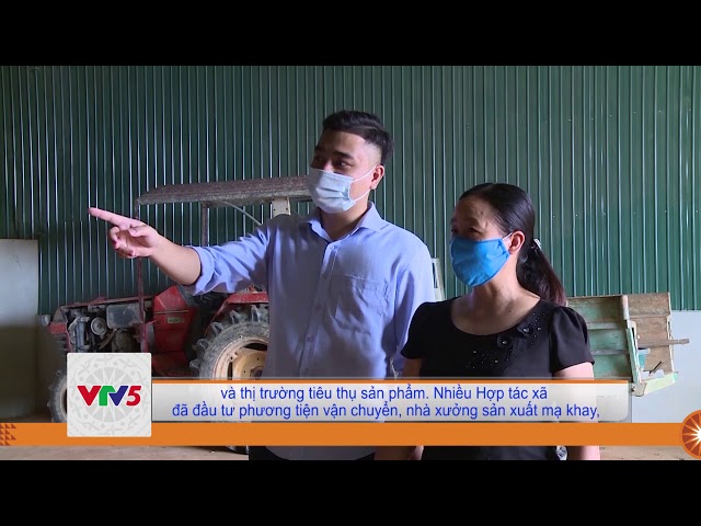 [TIẾNG MÔNG] HIỆU QUẢ NGUỒN VỐN QUỸ HỖ TRỢ PHÁT TRIỂN HỢP TÁC XÃ | VTV5