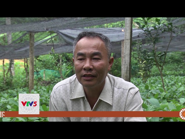 [TIẾNG MÔNG] PHÁT TRIỂN KINH TẾ TỪ NGHỀ ƯƠM CÂY GIỐNG | VTV5