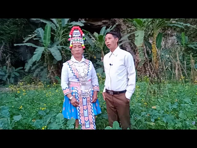 Maiv vwj yaj vaj thoj hais kwv txhiaj kab mob thai kev nco lm 2021 20 1