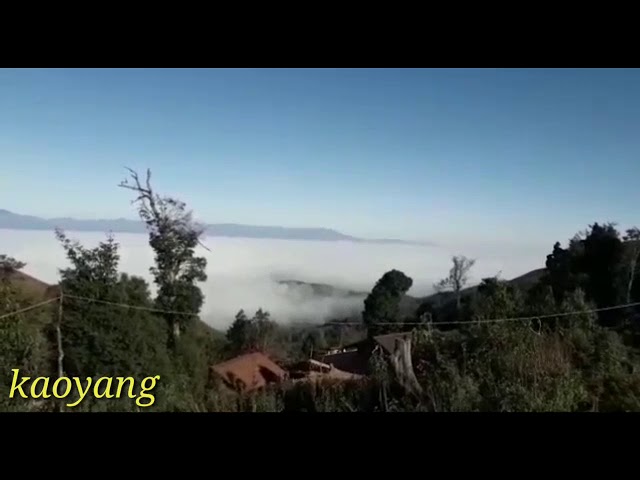 The hmong people