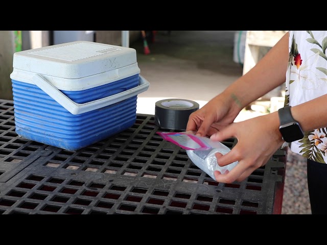 How to Sample Well Water on Your Farm for Bacterial Contamination – Hmong