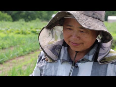 Safely Harvesting Fresh Produce with Food Safety in Mind - Hmong