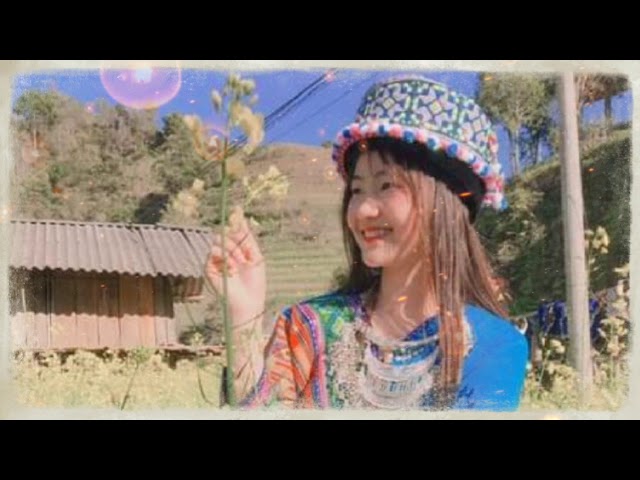 Hlub Li Npau Suav (Nkauj Hmong Lyrics) Suab kho siab 2021