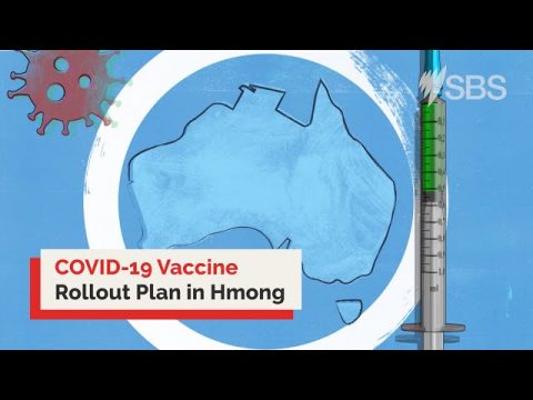 Hmong: Australia’s COVID-19 Vaccine Rollout Plan | Information Video | Portal Available Online