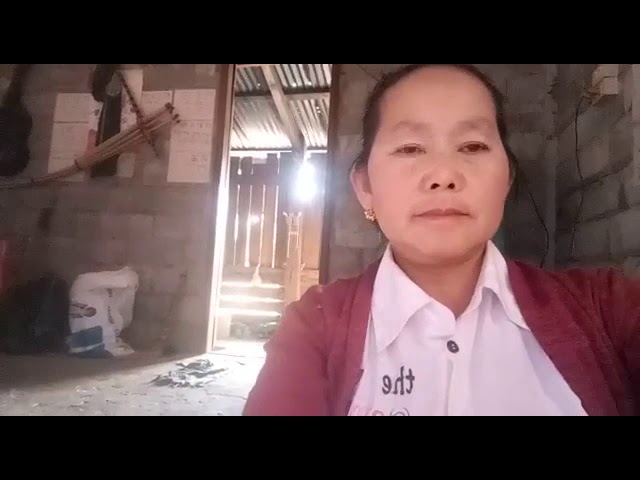 kuv ua paj ntaub xa mus mekas