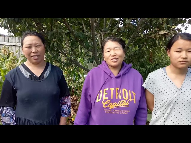 Hmong New Zealand lifestyles
